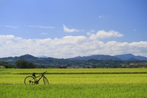 田舎